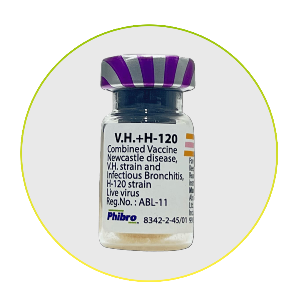 Newcastle & Gumboro Vaccines